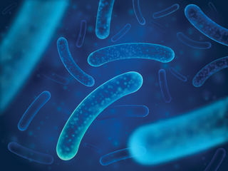 Illustration of probiotic molecules in Mage representing the 'good bacteria' that help balance the body's microbiomes