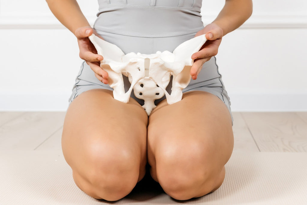 Pelvic Floor Therapy for Menopause Symptoms