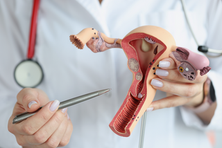 Understanding Menopause: Anatomy and Symptoms